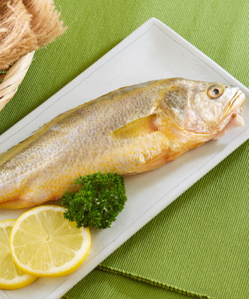 YellowCroaker